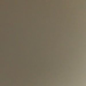 Meet your Posher, Ty